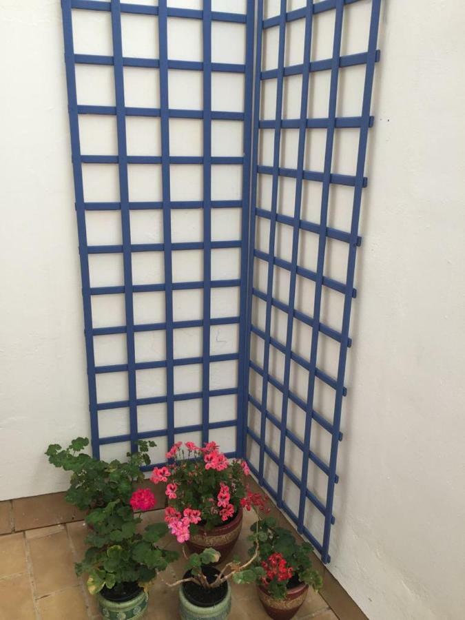 Apartamento Balneario Playa Caleta Cádiz Eksteriør billede